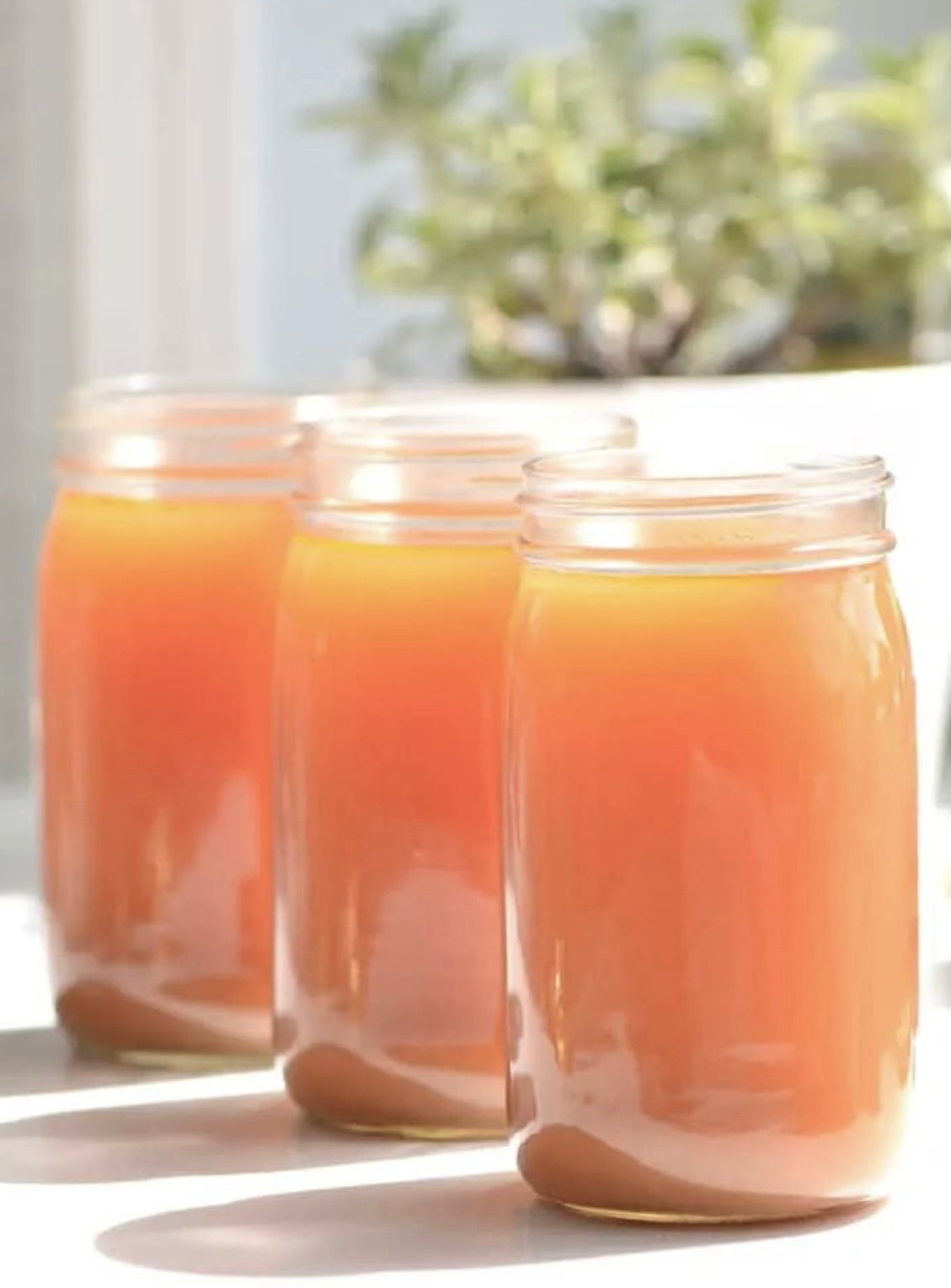 Organic Mango Pineapple Wildcrafted Seamoss Gel