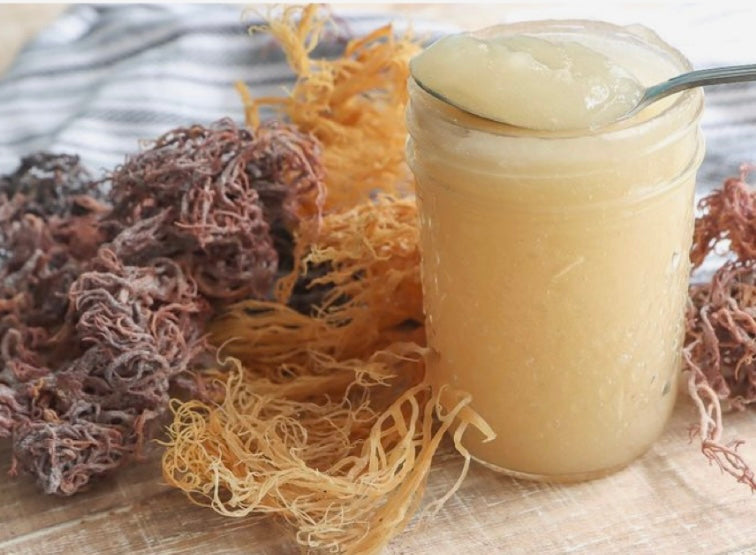 Organic Wildcrafted Sea Moss Gel