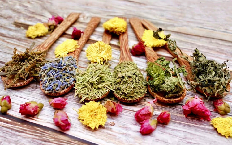 ANCESTRAL FORMULATIONS